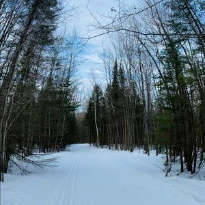 Meet your Posher, Lillian